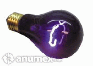 FOCO NORMAL LUZ LILA 100W- E-27 A-19(F149)